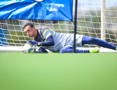 Marchesin