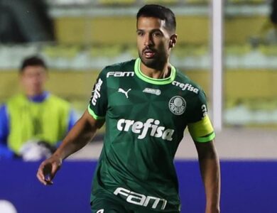Luan Palmeiras