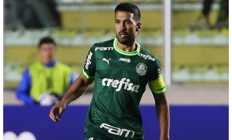 Luan Palmeiras