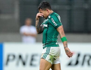Palmeiras